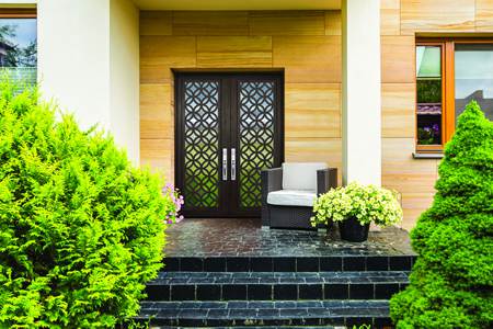 Eclectic modern exterior iron door
